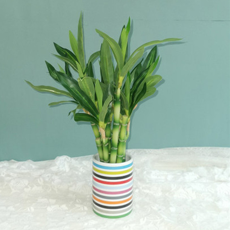 New 40cm rFtificial Lucky Bamb - огляд і ціна Aquarium Fish To Buy