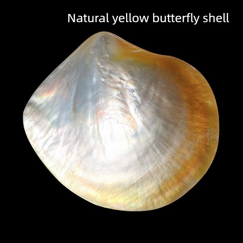 Natural Yellow Butterfly Beibe - огляд і ціна Aquarium Fish Yellow