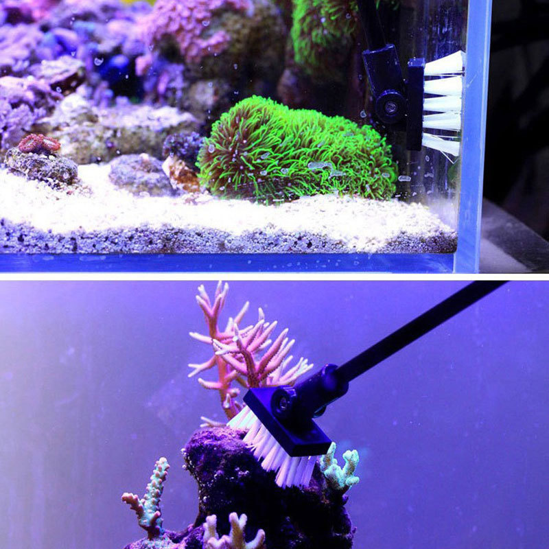 Fishing Cleaning Brush Plant T - огляд і ціна Algae Scraper Blade