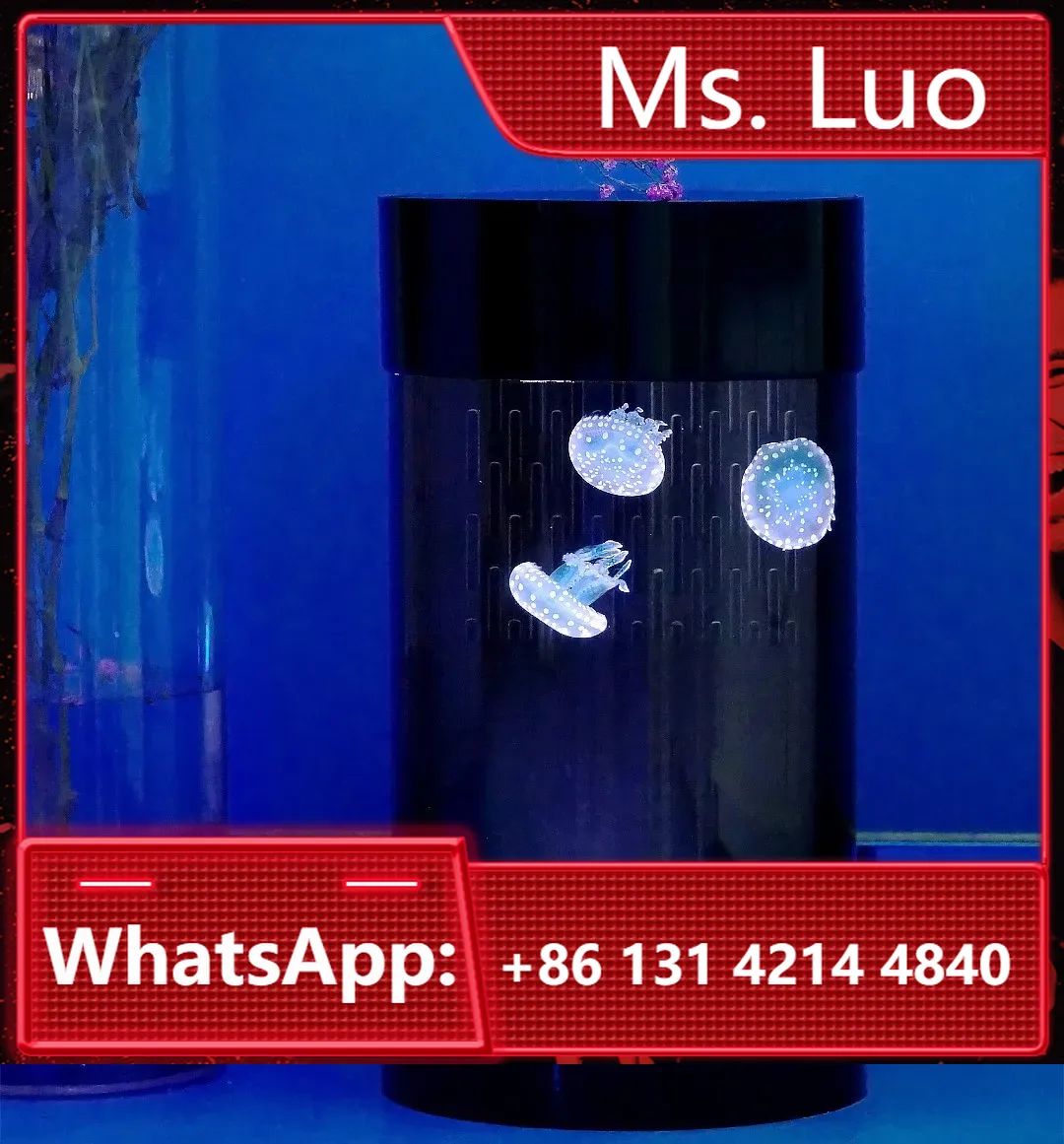 Best Amazon Sales Jellyfish Ta - огляд і ціна Aquarium Fish Amazon