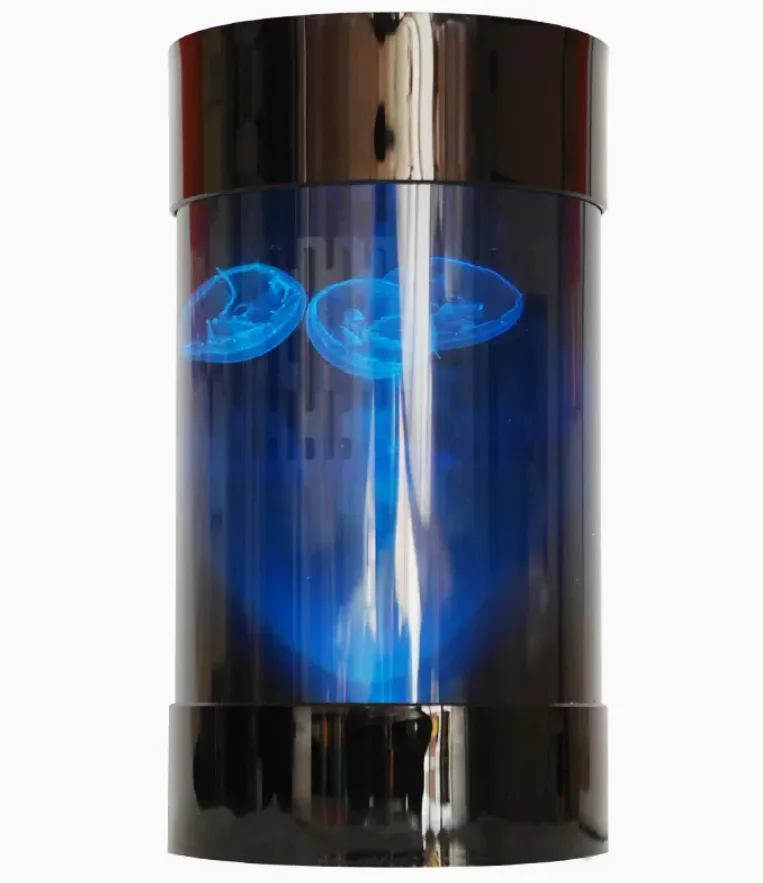 Best Amazon Sales Jellyfish Ta - огляд і ціна Aquarium Fish Amazon