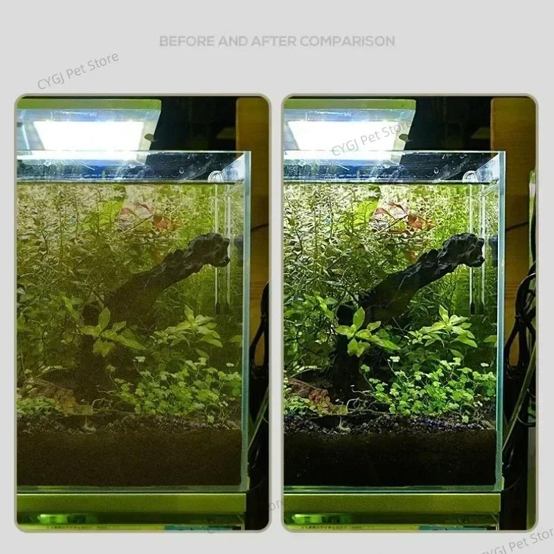Fish Tank Cleaning Tool Flat S - огляд і ціна Algae Scraper Blade