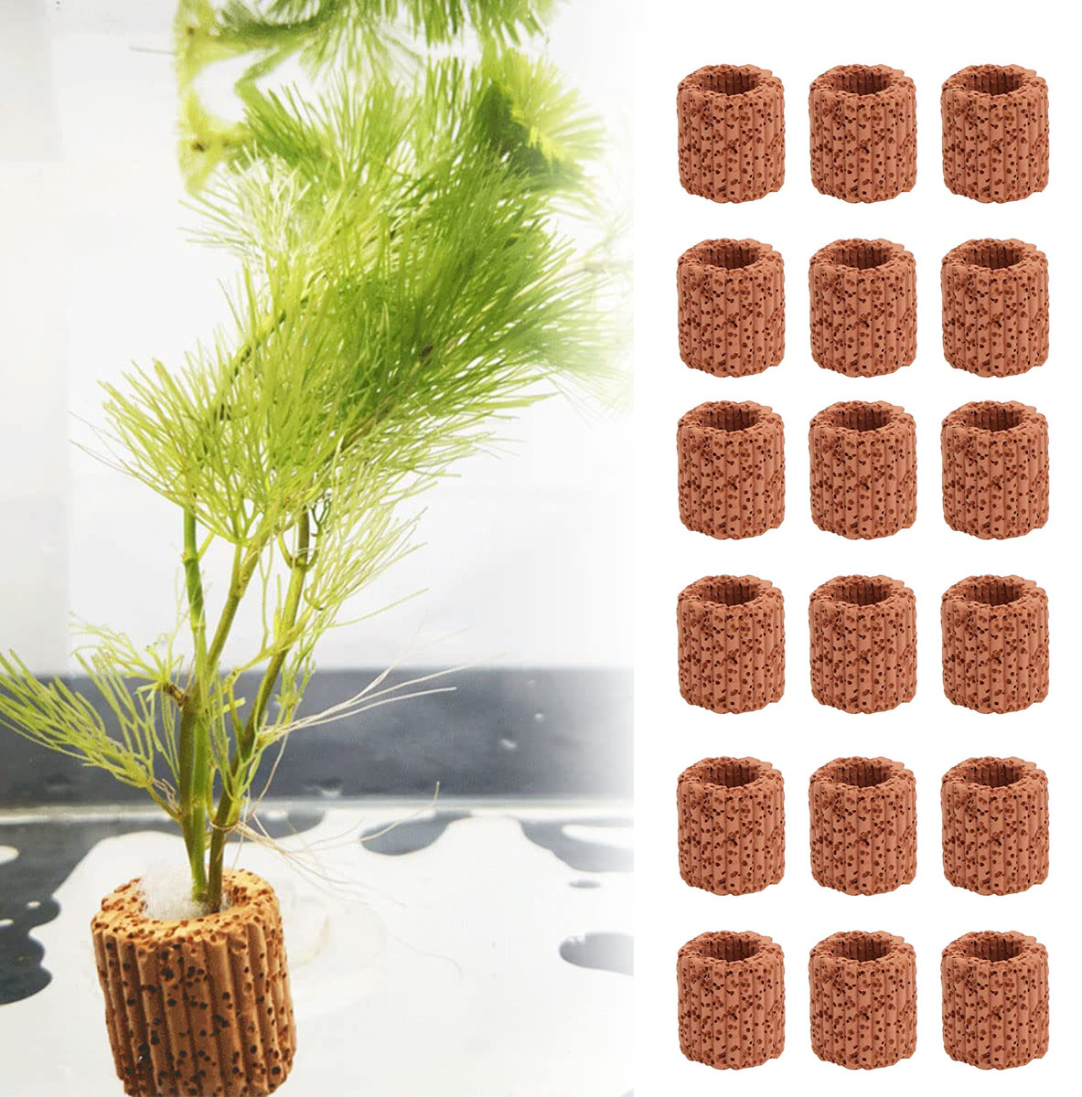 10/20Pcs Aquatic Water Plant F - огляд і ціна Aquarium Fish Pot
