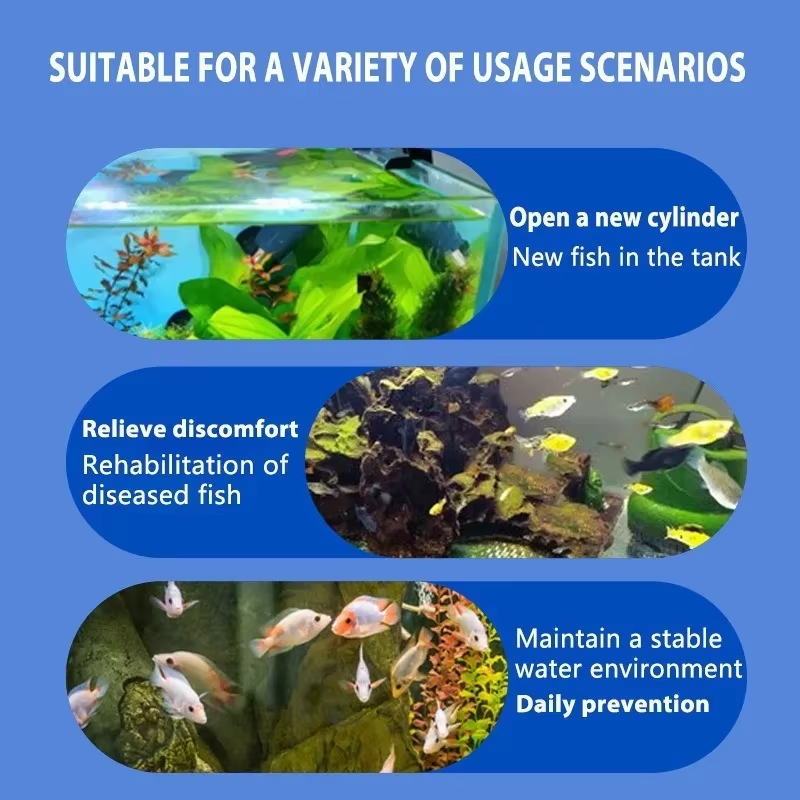 SIKEZHAN Fish Disease Treatmen - огляд і ціна Aquarium Fishing