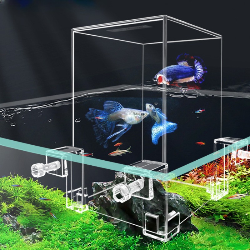 Creative Aquarium Tanks Negati - огляд і ціна Aquarium Fish Pot