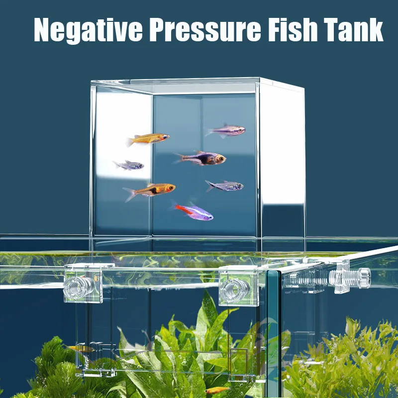 Creative Aquarium Tanks Negati - огляд і ціна Aquarium Fish Pot