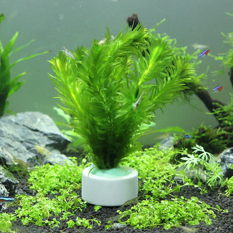 Aquarium Decoration Ceramic Ri - огляд і ціна Aquarium Fish Pot