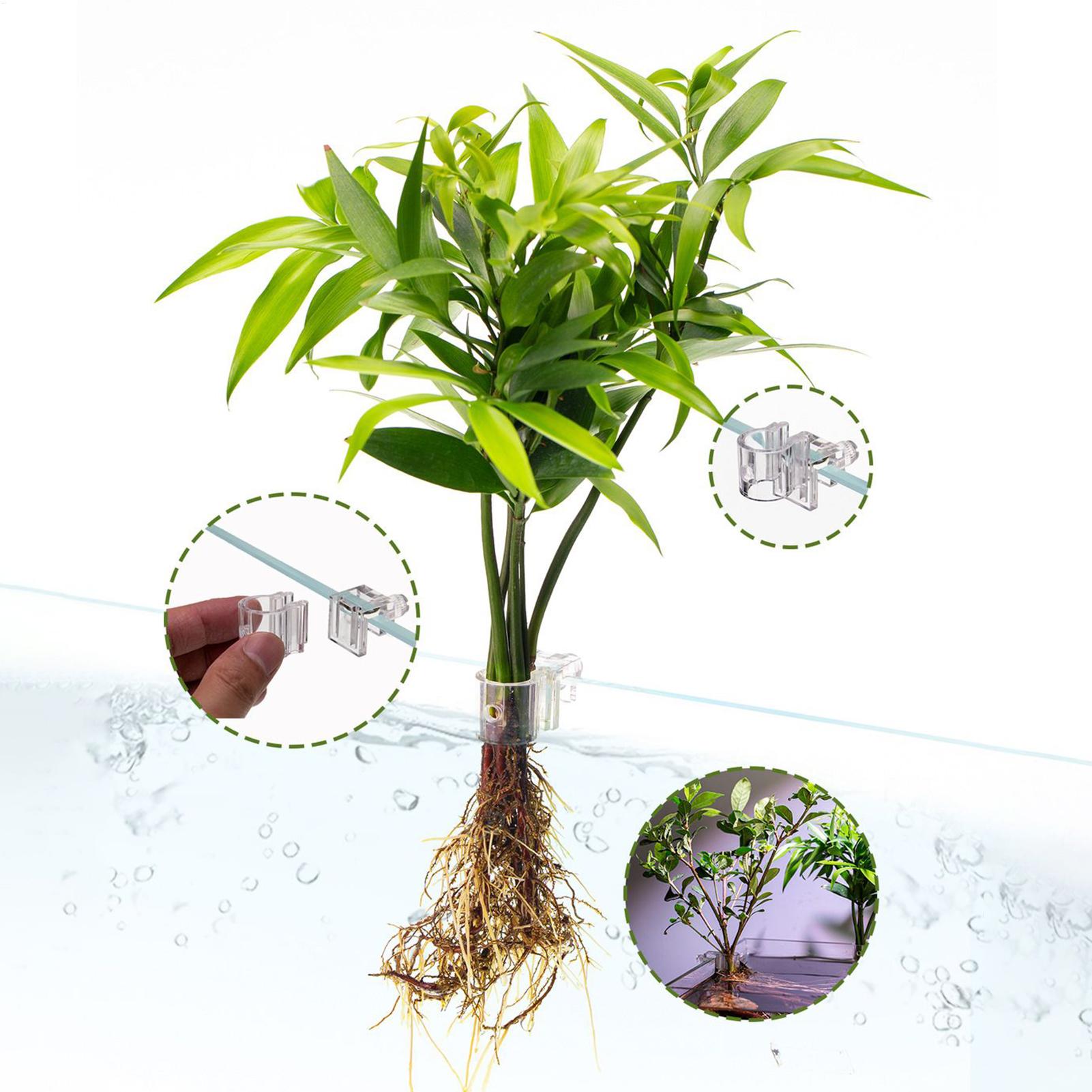 Aquarium Plant Basket Transpar - огляд і ціна Aquarium Fish Pot