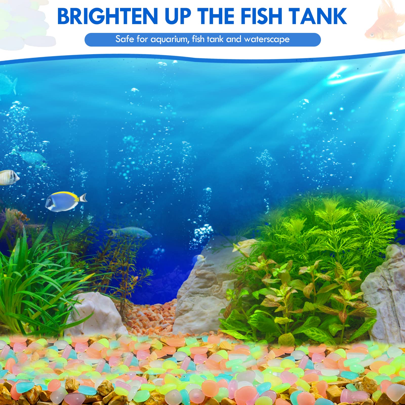 100Pcs Glow in the Dark Garden - огляд і ціна Aquarium Fishing