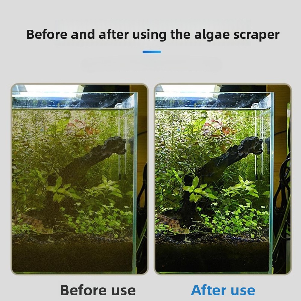 Dual-use Aquarium Algae Scrape - огляд і ціна Algae Scraper Blade