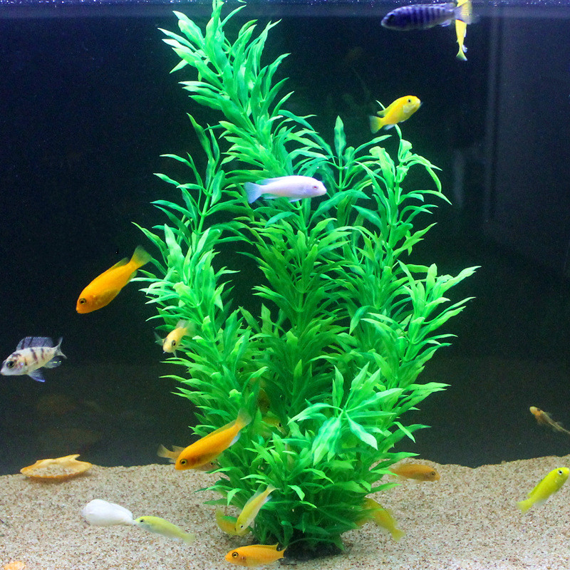 50CM Artificial Fish Tank Rare - огляд і ціна Aquarium Fishing