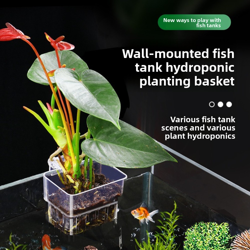 Aquarium Hydroponic Planting B - огляд і ціна Aquarium Fish Pot